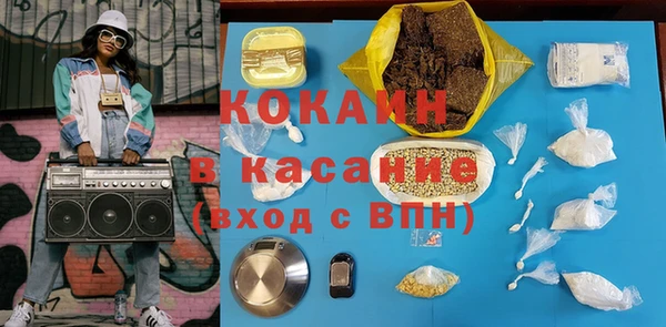 прущие грибы Волоколамск