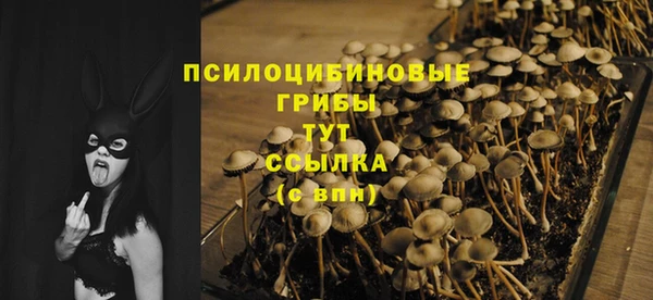 каннабис Слюдянка