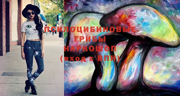 сатива Волосово