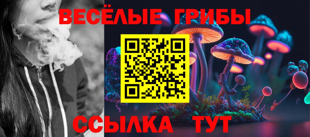 Стерлитамак  Галлюциногенные грибы MAGIC MUSHROOMS  Псилоцибиновые грибы прущие грибы  Вход с VPN 