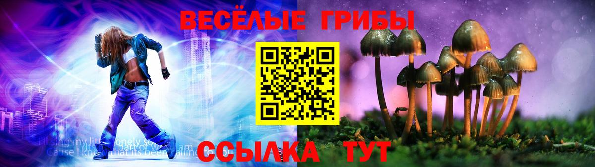 Псилоцибиновые грибы ЛСД Стерлитамак